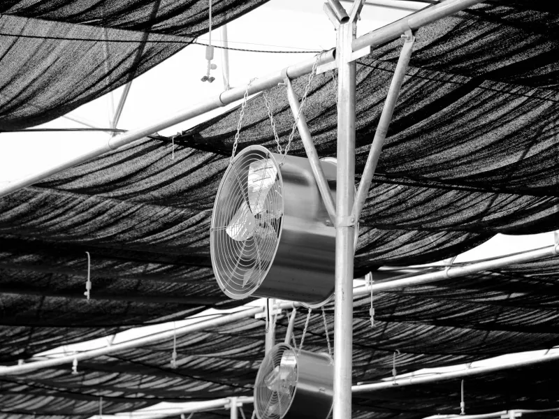 Hệ thống hút mùi chuồng trại tại Chợ Mới